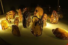  amber gallery