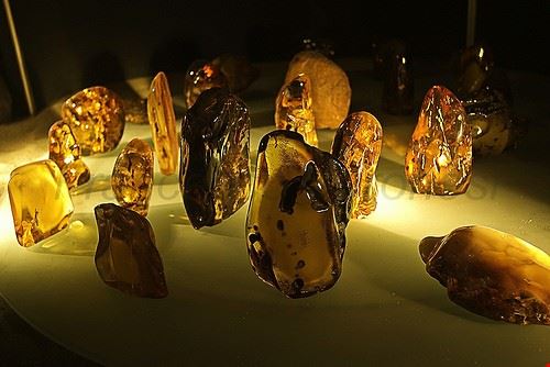 Amber Gallery - fveronesi1 - fveronesi1 - Attribution-NonCommercial-ShareAlike (http://creativecommons.org/licenses/by-nc-sa/2.0/)
