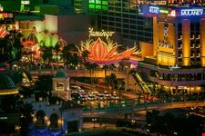  flamingo road