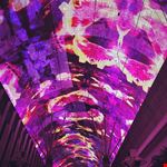  fremont street experience