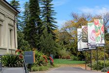  wollemi national park