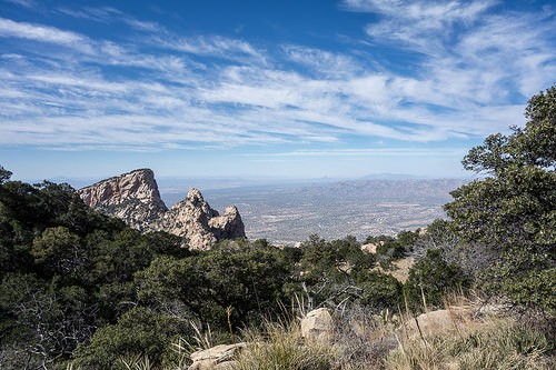  table mountain