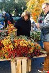  greenmarket square