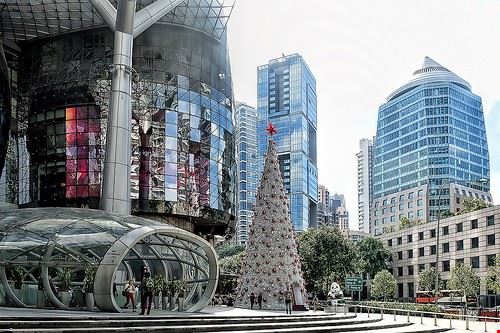 Orchard road - chooyutshing - chooyutshing - Attribution-NonCommercial-ShareAlike (http://creativecommons.org/licenses/by-nc-sa/2.0/)