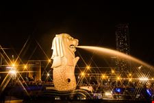  la statua del merlion