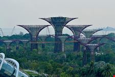  gardens by the bay