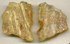  museo di storia naturale