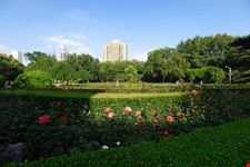  fuxing park