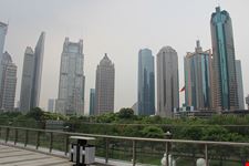  pudong