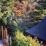  kamakura