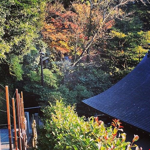 Kamakura - michaelqtodd - michaelqtodd - Attribution-NonCommercial-ShareAlike (http://creativecommons.org/licenses/by-nc-sa/2.0/)