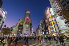  shibuya