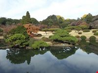  shinjuku gyoen