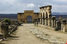  volubilis