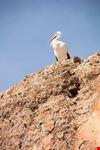  morocco experts