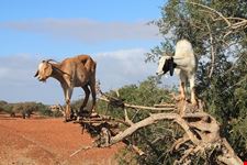  morocco trip adventure