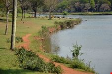  parco ibirapuera
