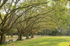  parco ibirapuera
