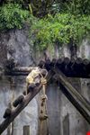  zoo