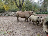  zoo