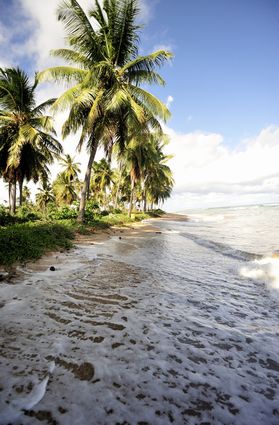 La spiaggia