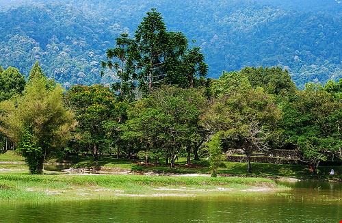 Lake gardens - Tukang Kebun - Tukang Kebun - Attribution-NoDerivs (http://creativecommons.org/licenses/by-nd/2.0/)