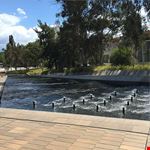  galleria nazionale d australia