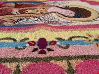  infiorata