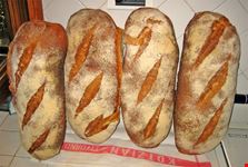 pane