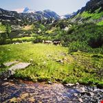  zillertal