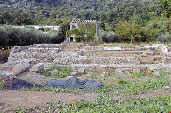  Nemi  