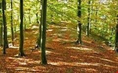  ecomuseo della montagna pistoiese