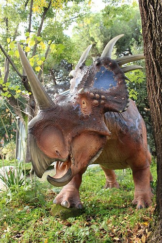 museo di paleontologia