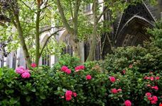 Rouen