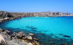mare