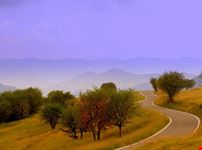 Parco Regionale Antola