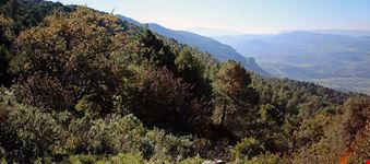  cerro de la estrella