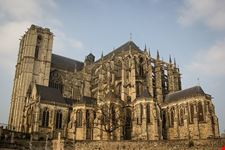  citta plantageneta