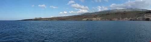  whale watch liguria