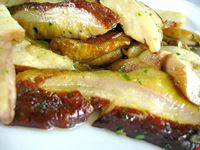 porcini