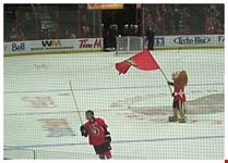  the ottawa senators