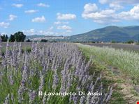 da visitare assisi e dintorni assisi