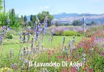 Assisi Giardini da visitare