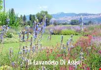 assisi giardini da visitare assisi