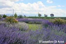 assisi itinerario naturalistico assisi