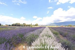 Assisi Itinerario turistico