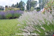assisi itinerario naturalistico assisi