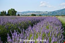 assisi itinerario naturalistico assisi