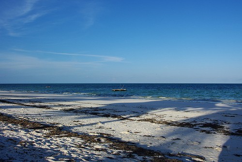  uroa bay