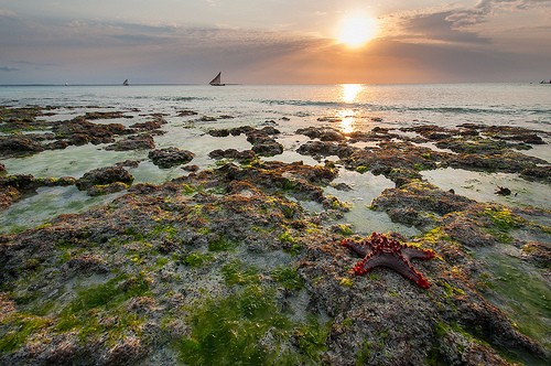  spiaggia di nungwi